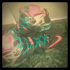 LeBron 12's